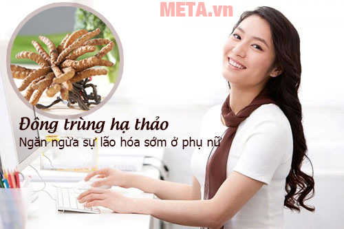 Tác dụng thật sự của đông trùng hạ thảo với phụ nữ Đông trùng hạ thảo ngăn ngừa lão hóa