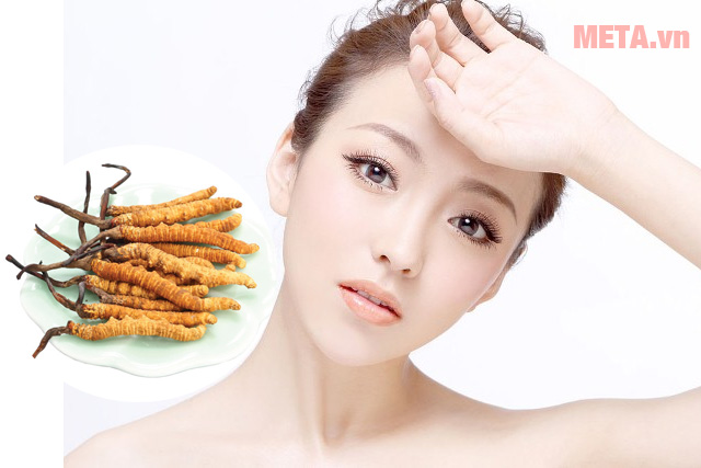 Đông trùng hạ thảo hiện có mấy loại? Tác dụng là gì? Nội tiết tố nữ