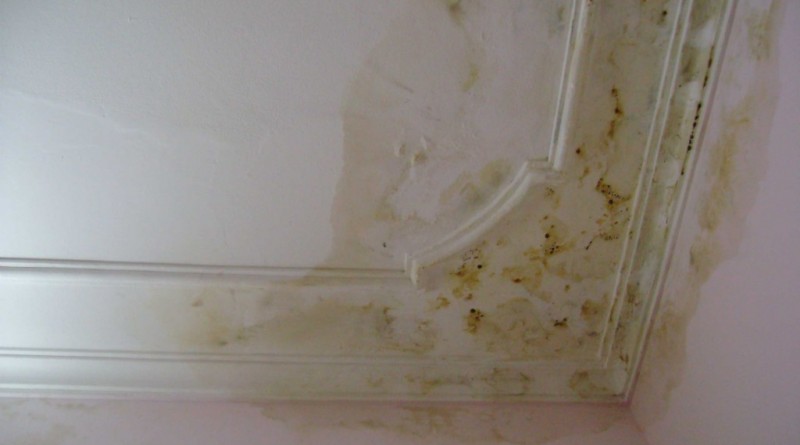 Cách chống ẩm cho trần nhà