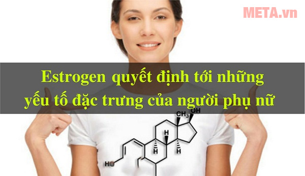 Nội tiết tố nữ Top thực phẩm chức năng bổ sung nội tiết tố cho phái nữ