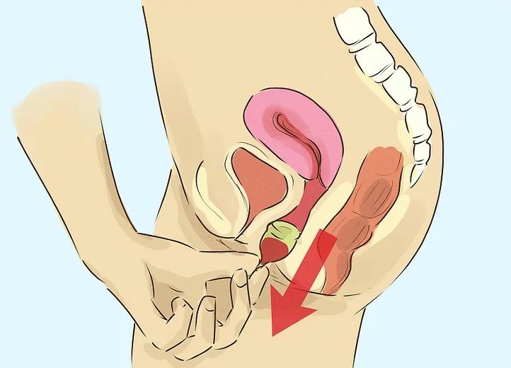 Bảng giá cốc nguyệt san chính hãng Bảng giá cốc nguyệt san chính hãng