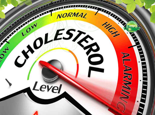 dấu hiệu và triệu chứng của cholesterol cao