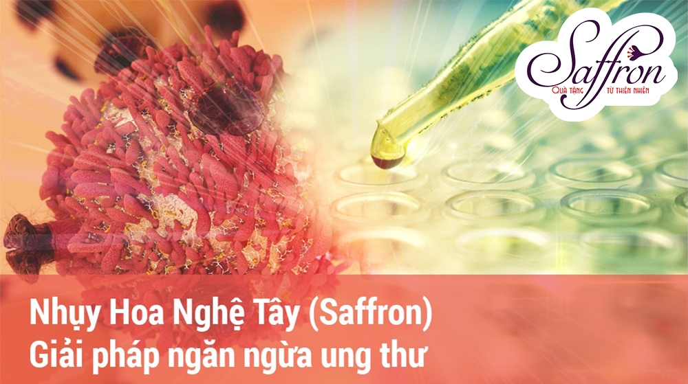 tác dụng của saffron tác dụng saffron