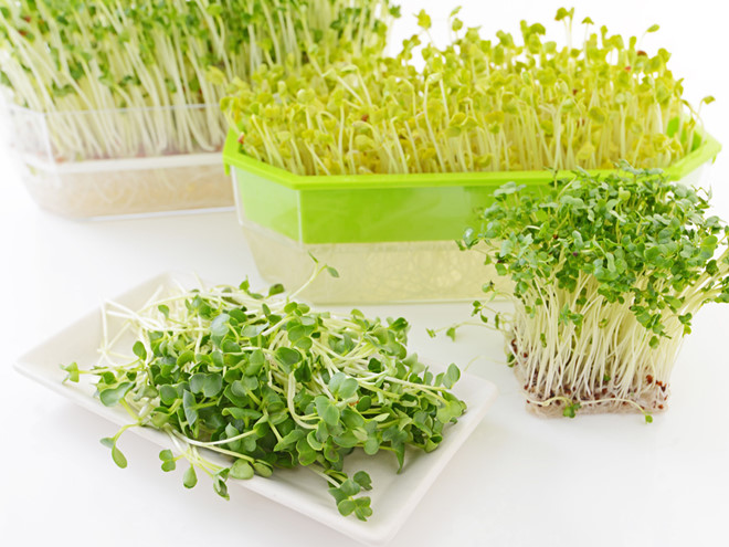 Tác dụng của rau mầm