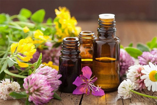 Sử dụng đèn xông tinh dầu để khử mùi ẩm mốc