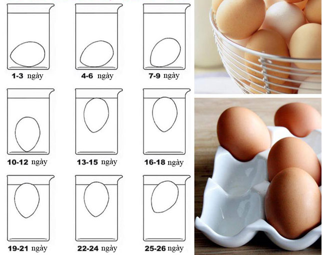 Cách phân biệt trứng mới, trứng cũ