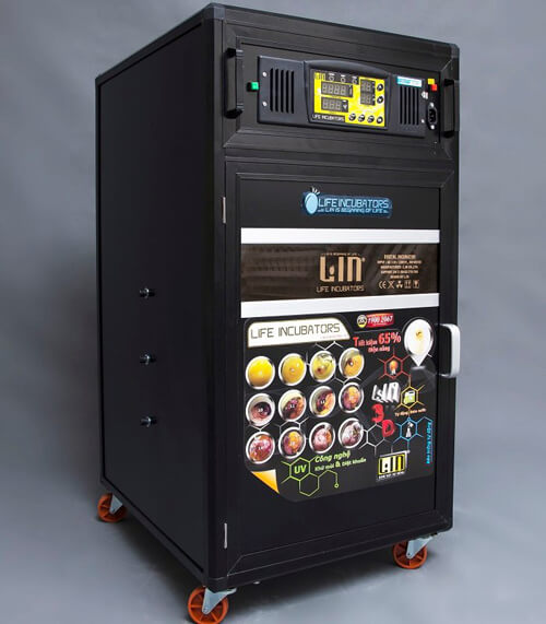 Máy ấp 300 trứng CONVECTION LIC-300