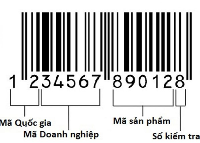 Mã vạch (Barcode) là gì? Hoạt động như thế nào?