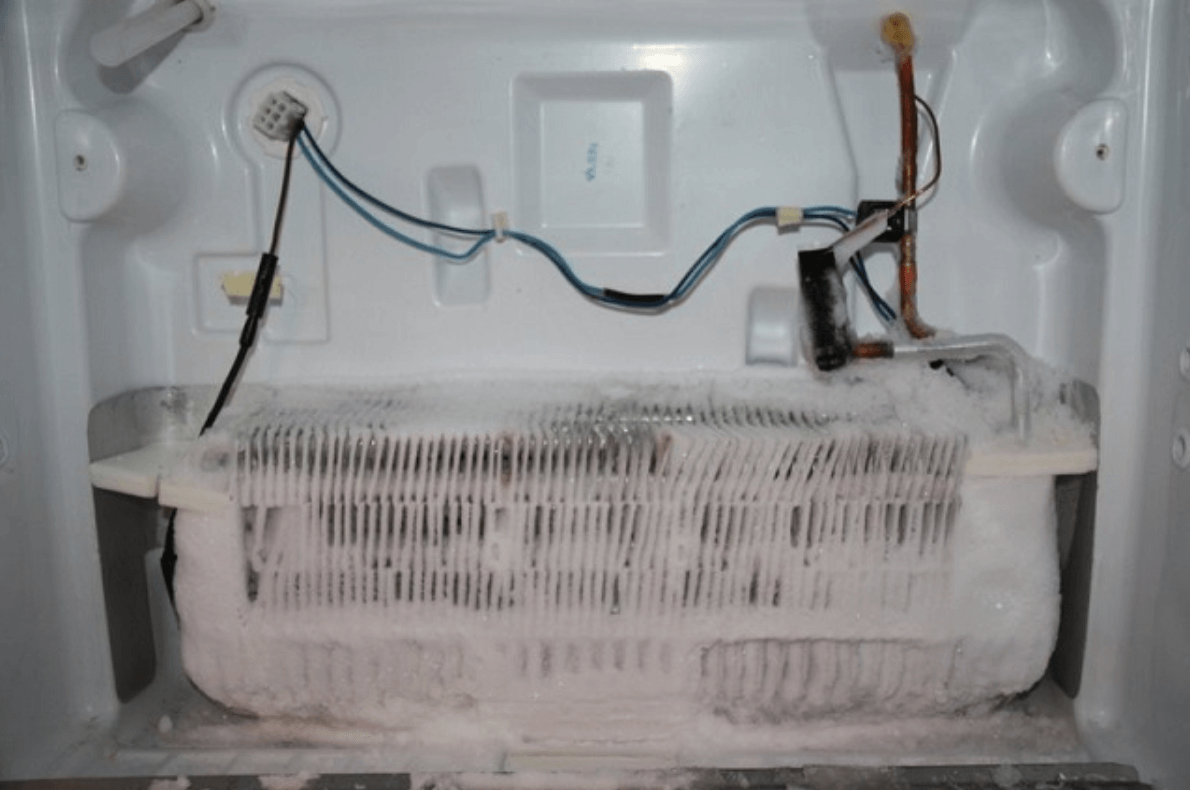 Электролюкс холодильная камера морозит