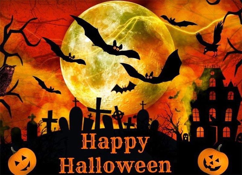Ngày lễ Halloween là ngày gì? Nguồn gốc và ý nghĩa của lễ hội hóa trang Halloween