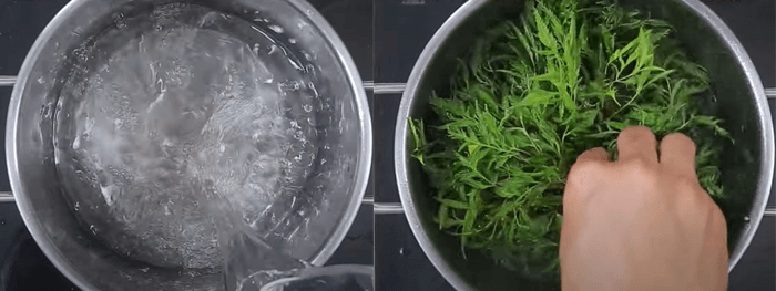 Cách nấu nước lá đinh lăng