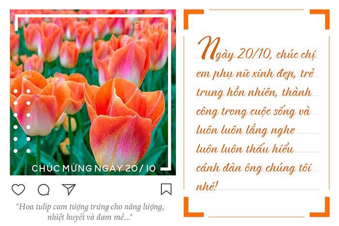 Hoa tulip cam tượng trưng cho năng lượng, nhiệt huyết và đam mê dành tặng cho đồng nghiệp