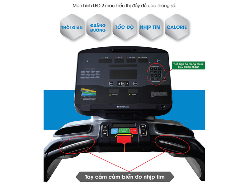 Máy chạy bộ điện Mofit Senior 6900