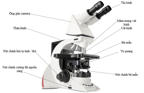 Cấu tạo của kính hiển vi sinh học