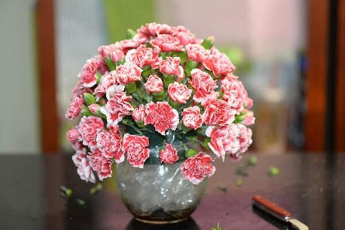 Cách cắm hoa cẩm chướng ngày Tết