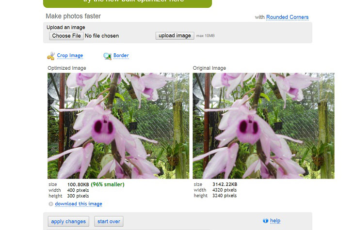 Click vào “Download This Image” để tải ảnh về máy tính