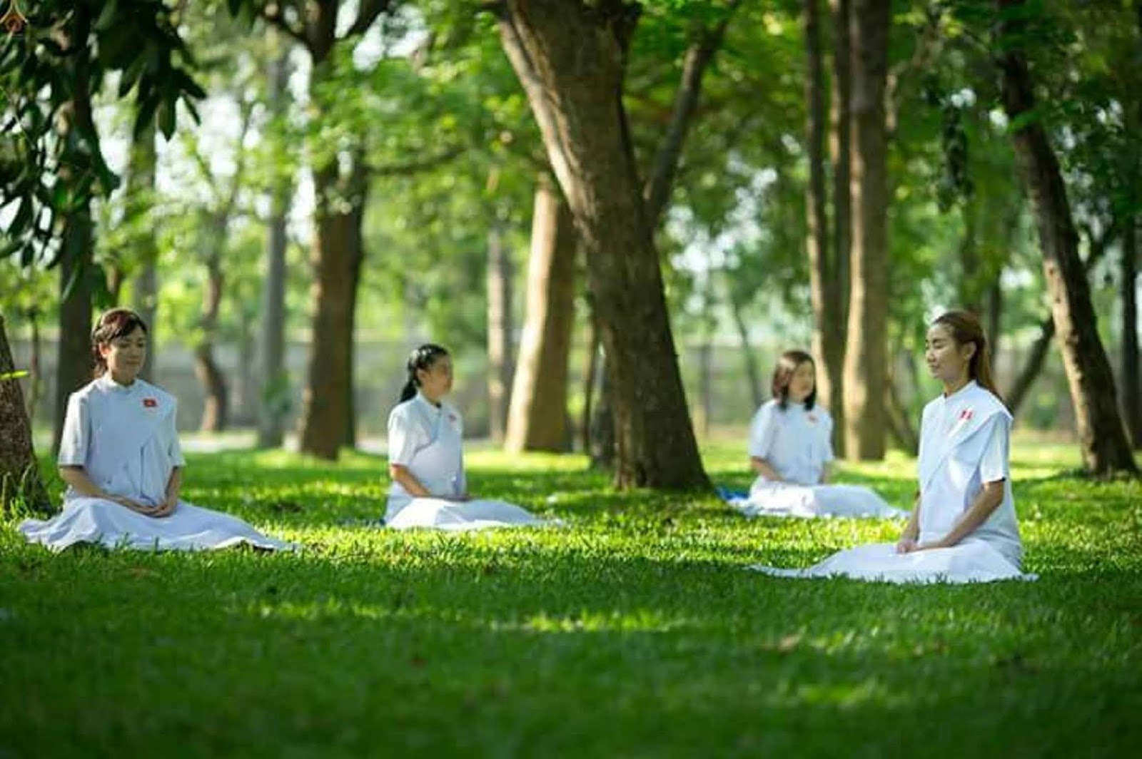 Học thiền Vipassana có tác dụng gì?