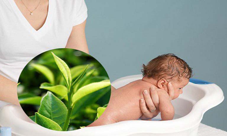 Tắm lá chè tươi hoặc cỏ mần trầu - Mẹo dân gian chữa vàng da ở trẻ sơ sinh