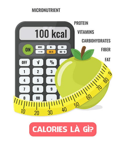 Calories là gì? Calo là gì?