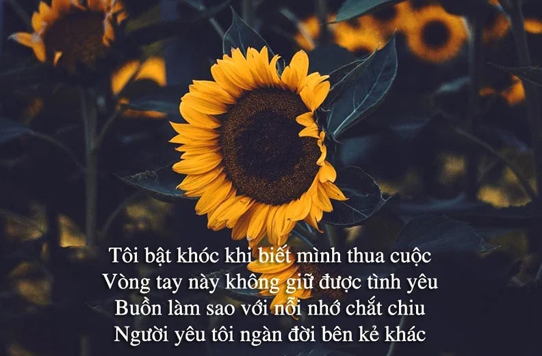 Thơ tình buồn