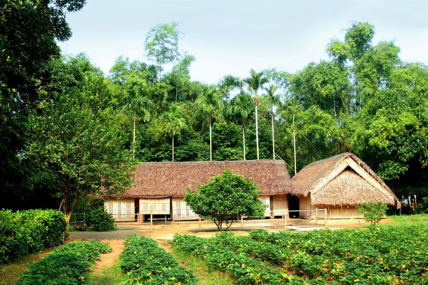 Quê nội Bác ở đâu