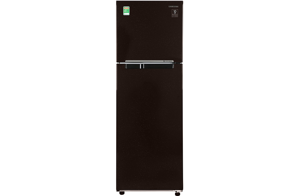 Tủ lạnh 2 cánh Samsung Inverter 256 lít RT25M4032BY/SV