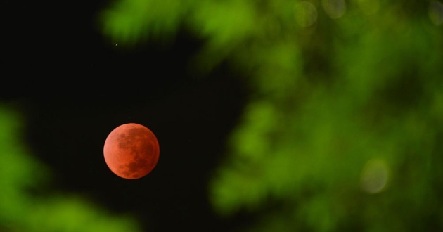 Hình ảnh trăng máu và siêu trăng máu ấn tượng