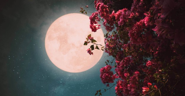 Siêu trăng máu năm 2021 xảy ra vào tháng 5 còn được gọi là siêu trăng máu.  Tên gọi trăng hoa Rằm tháng 5 xuất phát từ việc tháng 5 là thời điểm các loài hoa nở rộ.