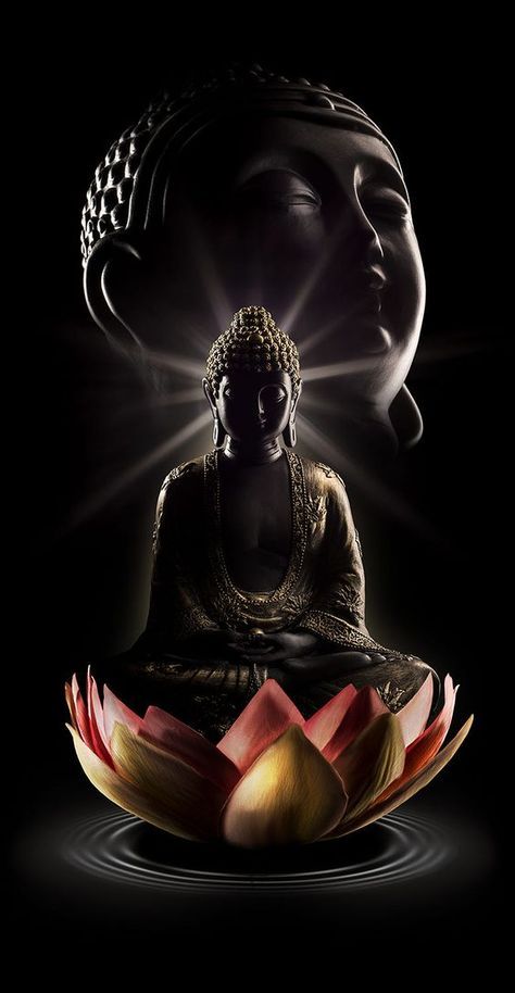 Hình nền hoa sen Phật giáo
