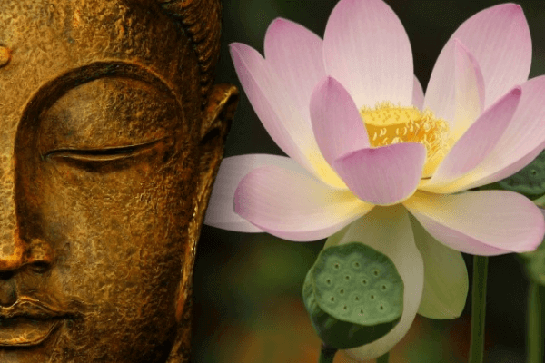 Hình ảnh hoa sen Phật giáo 
