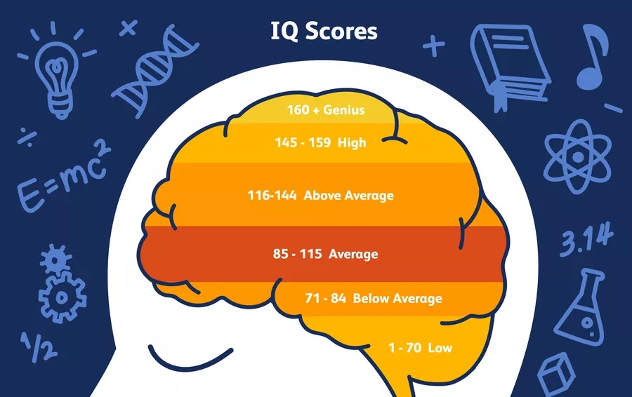 IQ bao nhiêu là cao, thấp, trung bình?