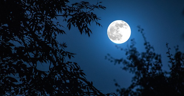 Trên thực tế, Mặt trăng không đổi màu vào ngày trăng xanh.