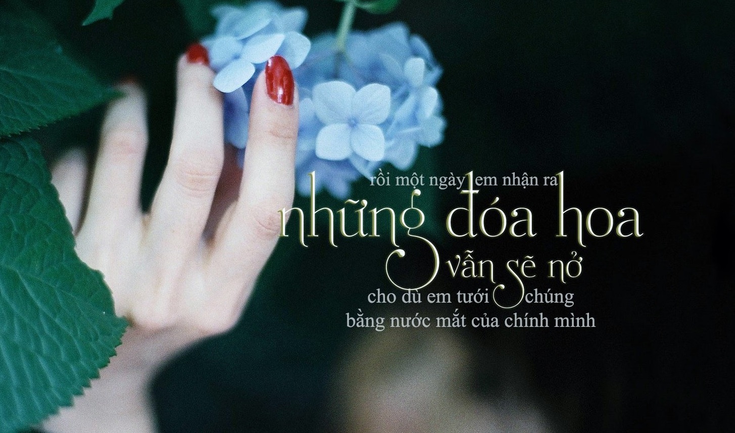 Trích dẫn hay