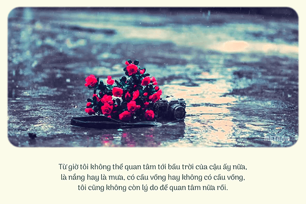 Câu nói hay về mưa (Ảnh quotes)