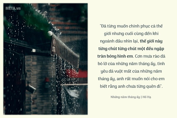 Câu nói hay về mưa (Ảnh quotes)