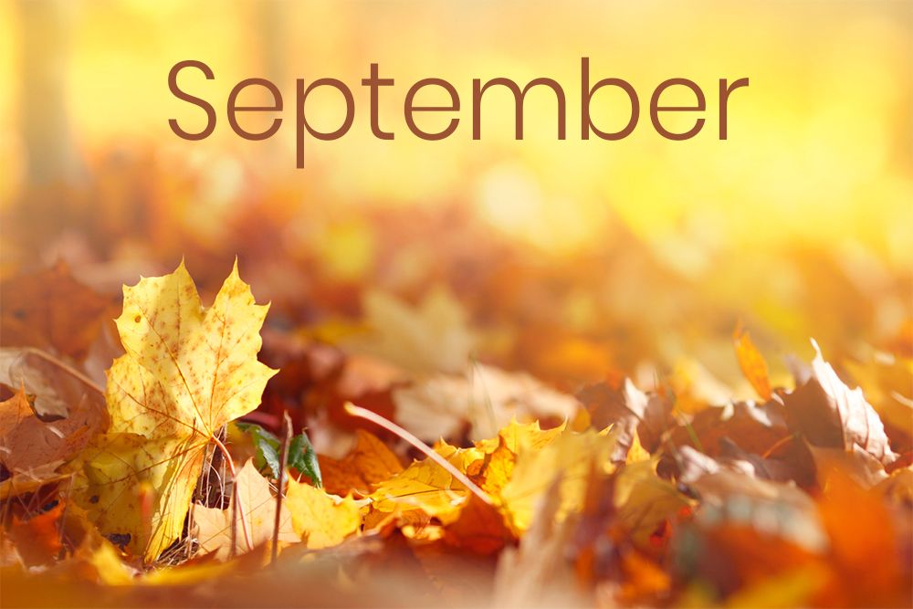 Tháng 9 tiếng Anh là gì Tháng 9 trong tiếng Anh dịch là gì