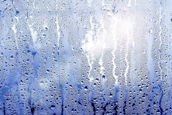 Độ ẩm cao gây nhiều vấn đề sức khỏe cho con người 