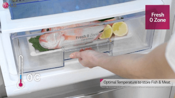 Công nghệ cấp đông mềm Fresh O Zone trên tủ lạnh LG