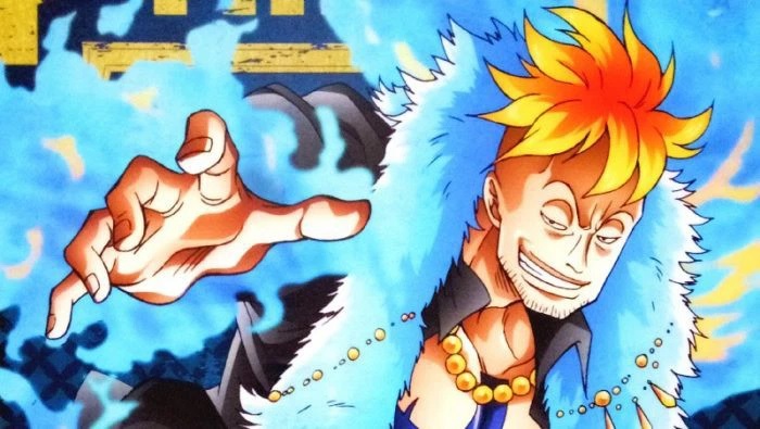 Một bức ảnh macro đẹp về One Piece