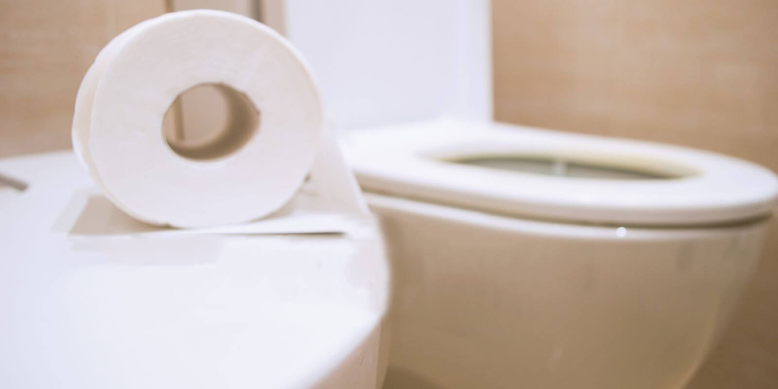 Các loại giấy vệ sinh có thực sự tan trong nước?