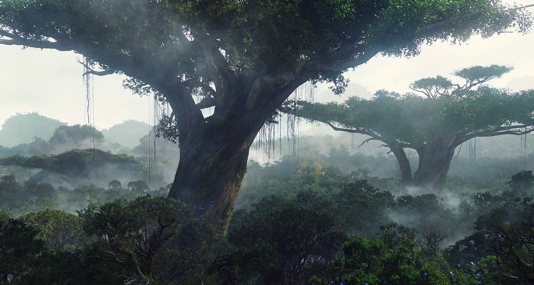 Avatar ảnh phong cảnh hùng vĩ của thiên nhiên