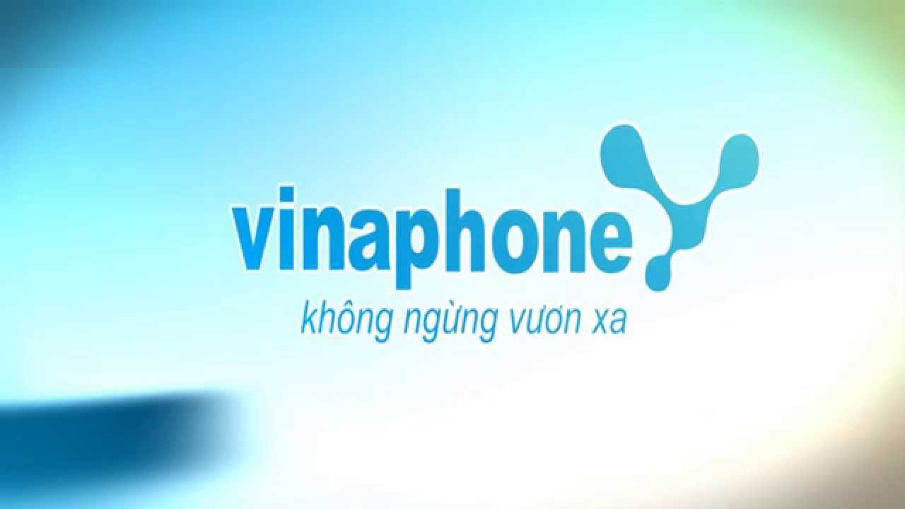 Các đầu số Vina (VinaPhone) gồm những số nào?