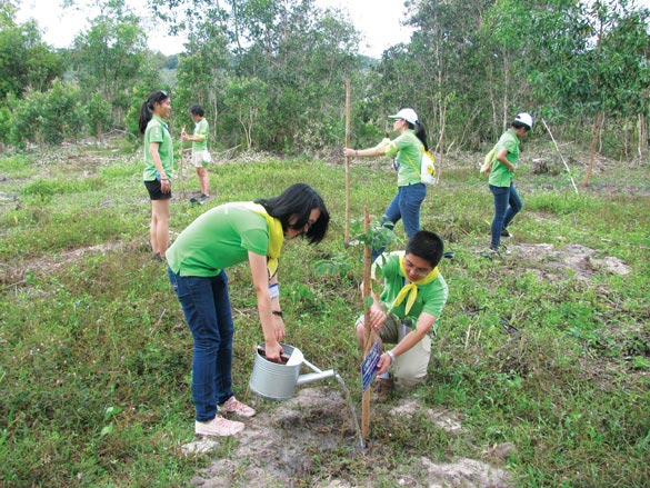 Hình ảnh tình nguyện viên tưới cây
