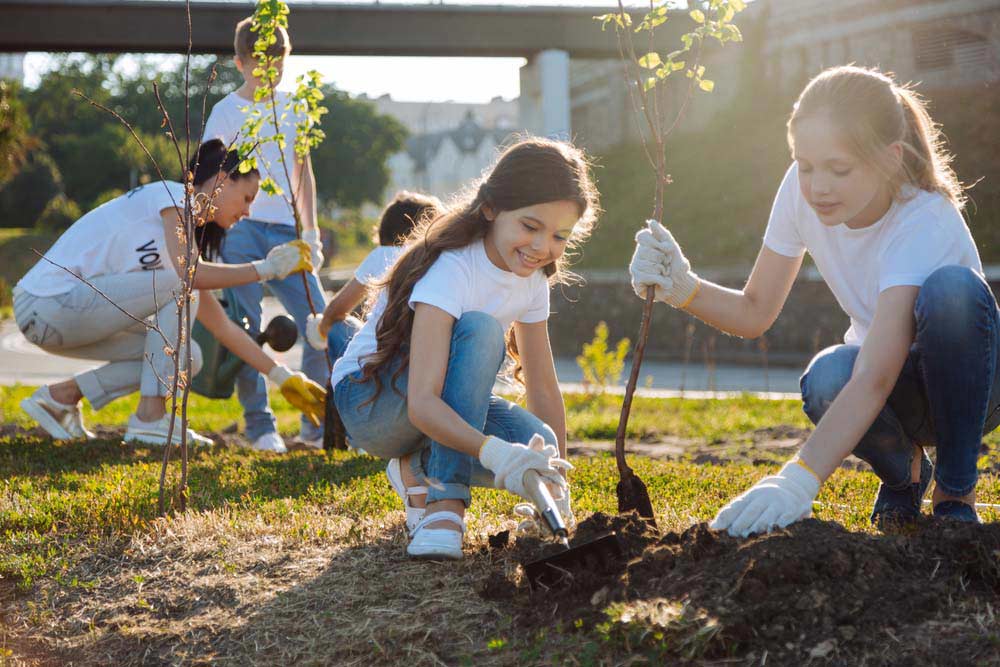hình ảnh trẻ em trồng cây