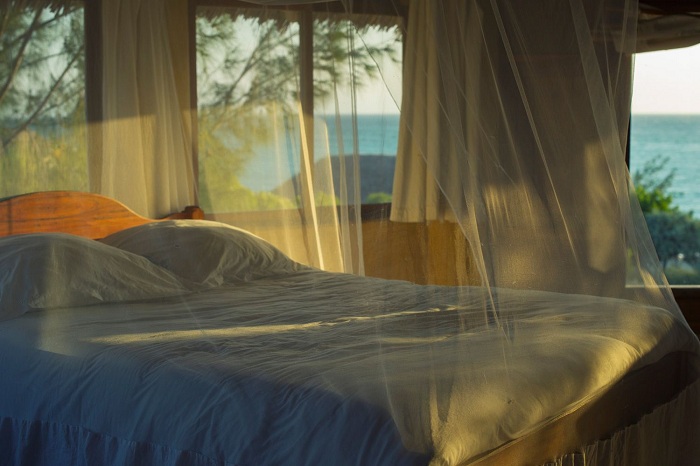 13 Cách đuổi muỗi trong phòng ngủ hiệu quả bạn nhất định phải biết