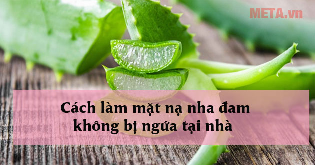Cách làm mặt nạ nha đam không bị ngứa tại nhà giúp dưỡng da, trị mụn