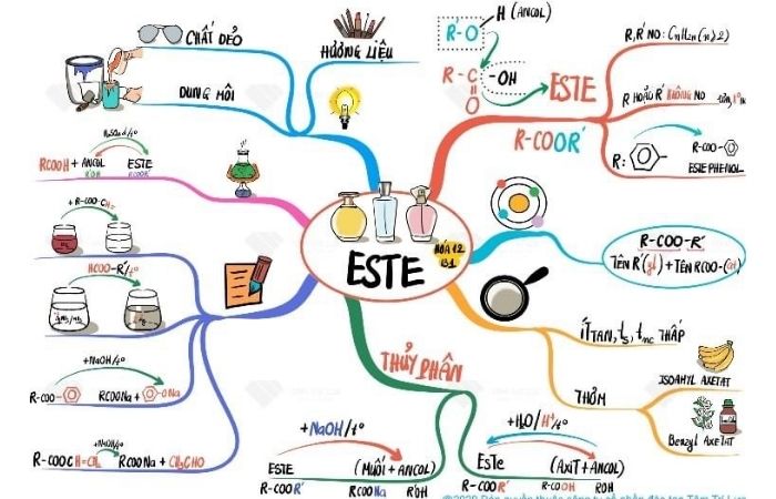 mẫu bản đồ tư duy