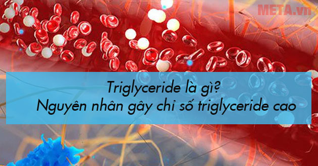 Chất béo trung tính là gì?