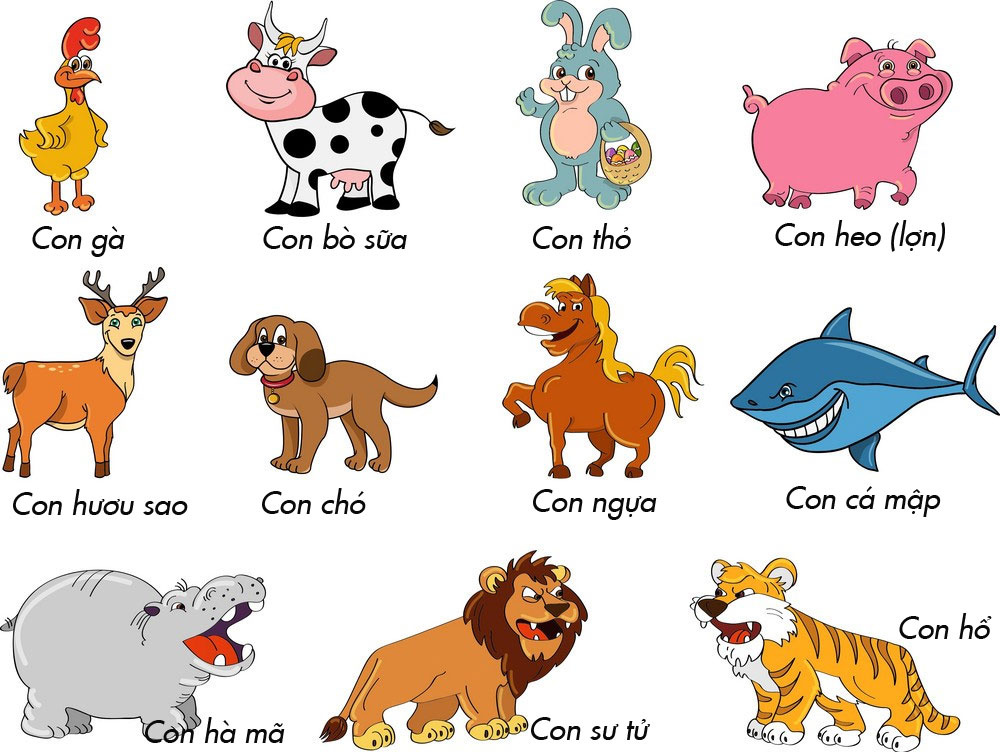 Hình ảnh và tên gọi các con vật cho bé nhận biết