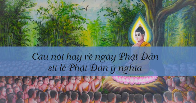 Câu nói hay về ngày Phật Đản, stt lễ Phật Đản ý nghĩa
